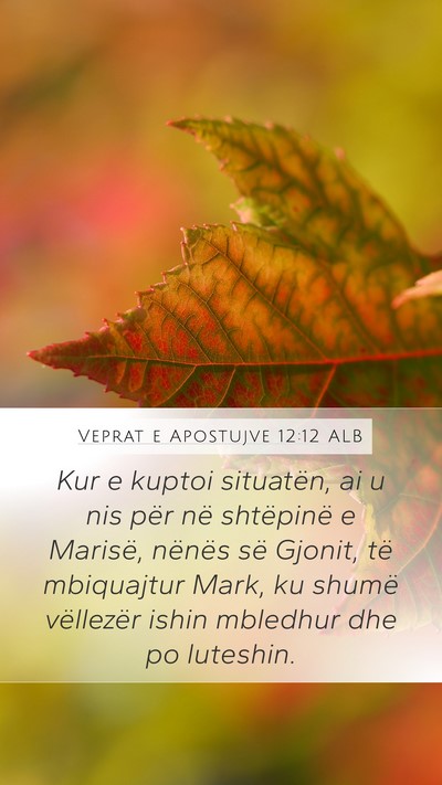 Veprat e Apostujve 12:12 ALB Bible Verse Image