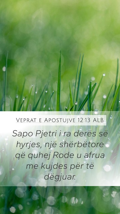 Veprat e Apostujve 12:13 ALB Bible Verse Image