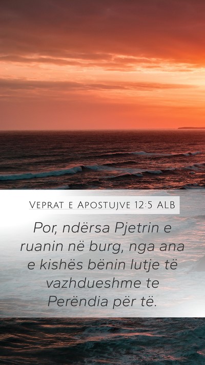 Veprat e Apostujve 12:5 ALB Bible Verse Image
