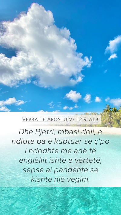 Veprat e Apostujve 12:9 ALB Bible Verse Image
