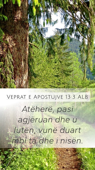 Veprat e Apostujve 13:3 ALB Bible Verse Image