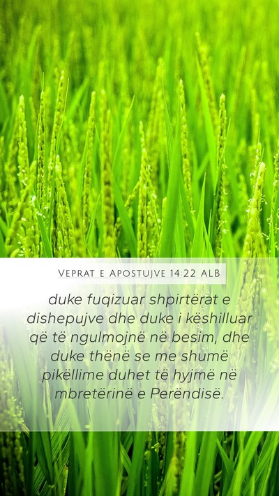 Veprat e Apostujve 14:22 ALB Bible Verse Image