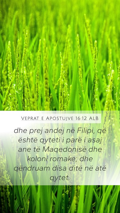 Veprat e Apostujve 16:12 ALB Bible Verse Image