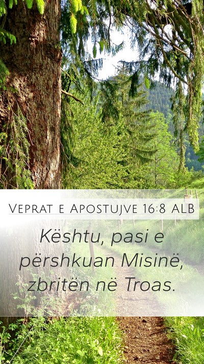 Veprat e Apostujve 16:8 ALB Bible Verse Image
