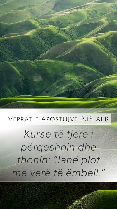 Veprat e Apostujve 2:13 ALB Bible Verse Image