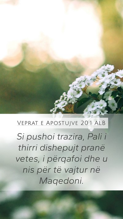 Veprat e Apostujve 20:1 ALB Bible Verse Image