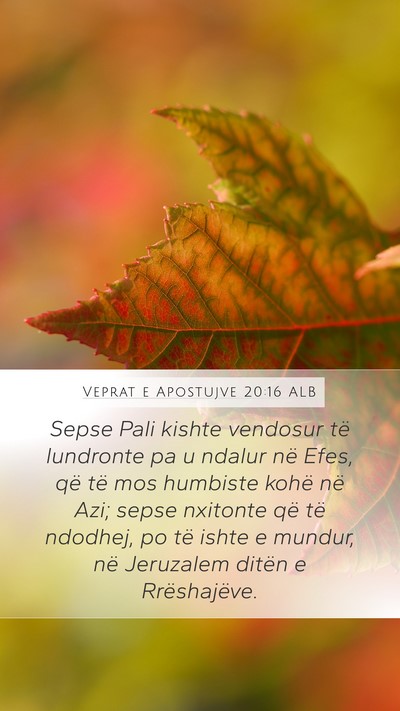 Veprat e Apostujve 20:16 ALB Bible Verse Image