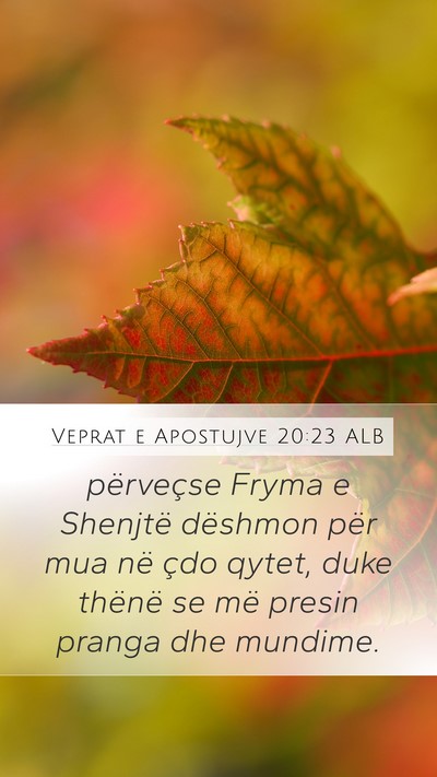 Veprat e Apostujve 20:23 ALB Bible Verse Image