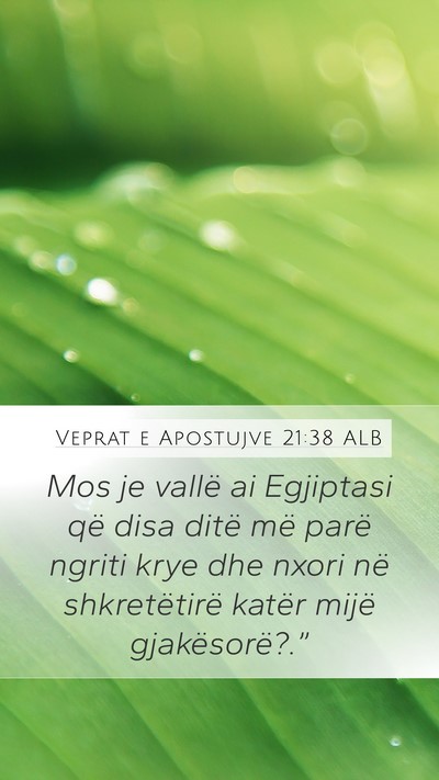 Veprat e Apostujve 21:38 ALB Bible Verse Image