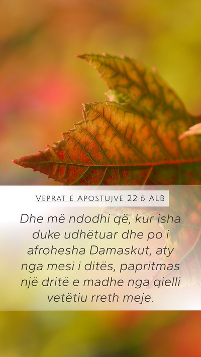 Veprat e Apostujve 22:6 ALB Bible Verse Image