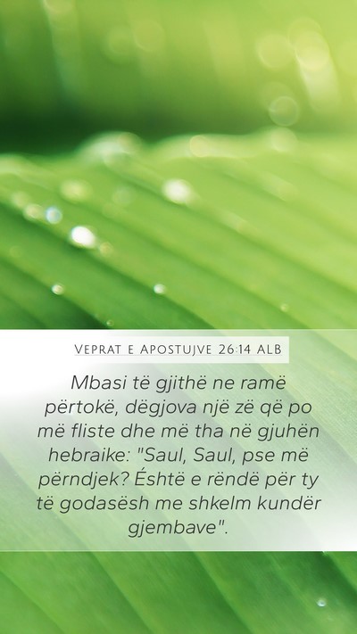 Veprat e Apostujve 26:14 ALB Bible Verse Image