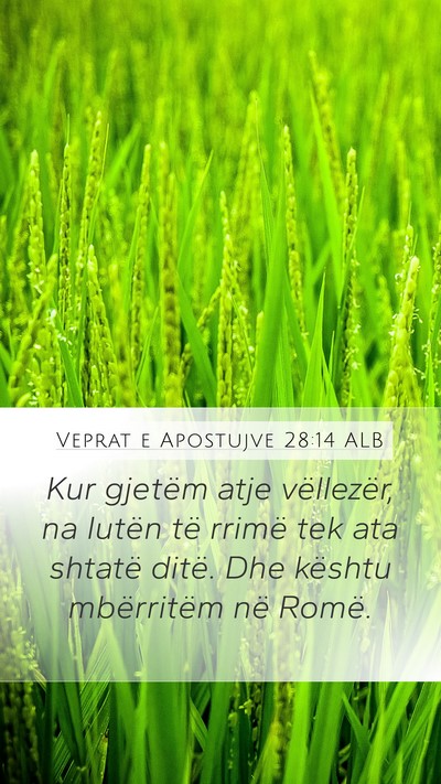 Veprat e Apostujve 28:14 ALB Bible Verse Image