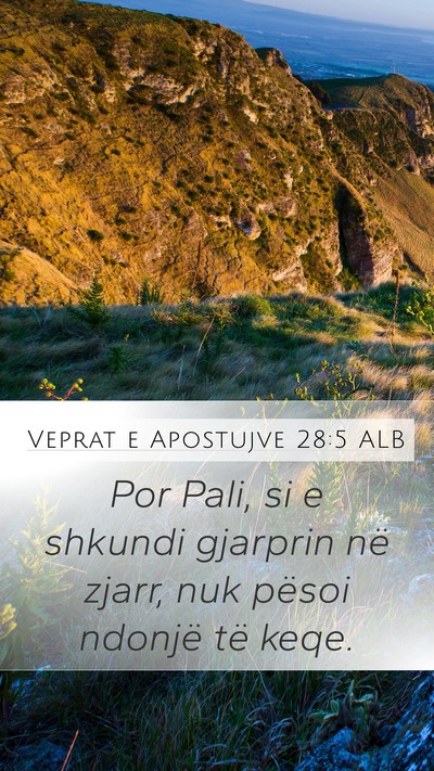 Veprat e Apostujve 28:5 ALB Bible Verse Image