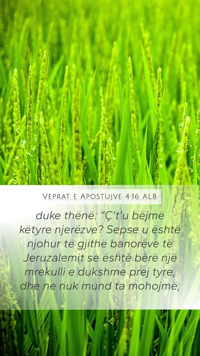 Veprat e Apostujve 4:16 ALB Bible Verse Image