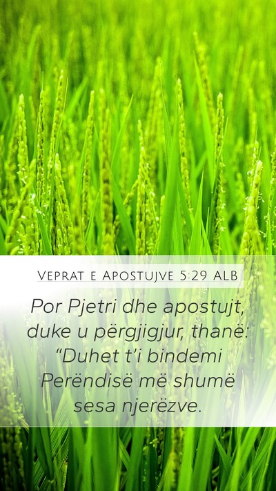 Veprat e Apostujve 5:29 ALB Bible Verse Image