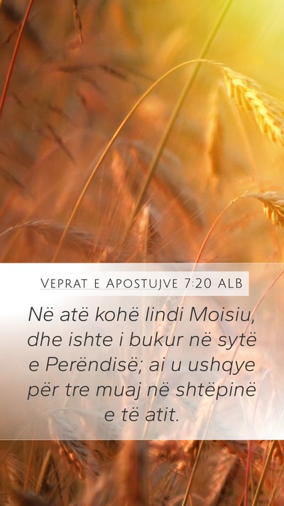 Veprat e Apostujve 7:20 ALB Bible Verse Image