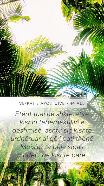 Veprat e Apostujve 7:44 ALB Bible Verse Image