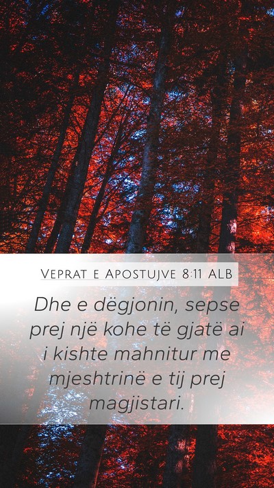 Veprat e Apostujve 8:11 ALB Mobile Phone Wallpaper - Dhe e dëgjonin, sepse prej një kohe të gjatë - Mobile Bible Verse Wallpaper
