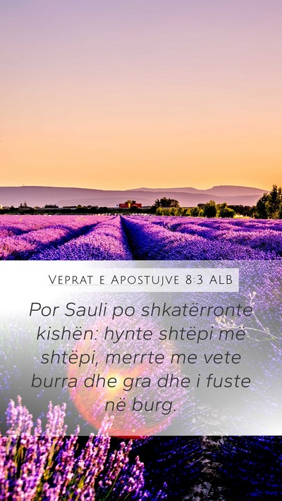 Veprat e Apostujve 8:3 ALB Bible Verse Image