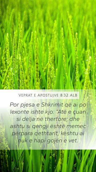 Veprat e Apostujve 8:32 ALB Bible Verse Image