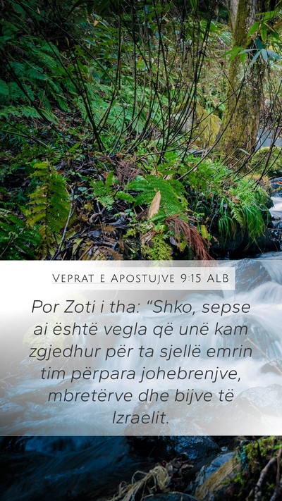 Veprat e Apostujve 9:15 ALB Bible Verse Image