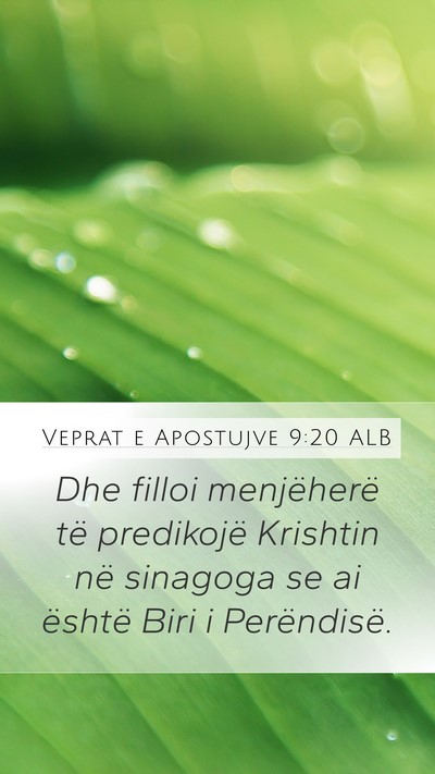 Veprat e Apostujve 9:20 ALB Bible Verse Image