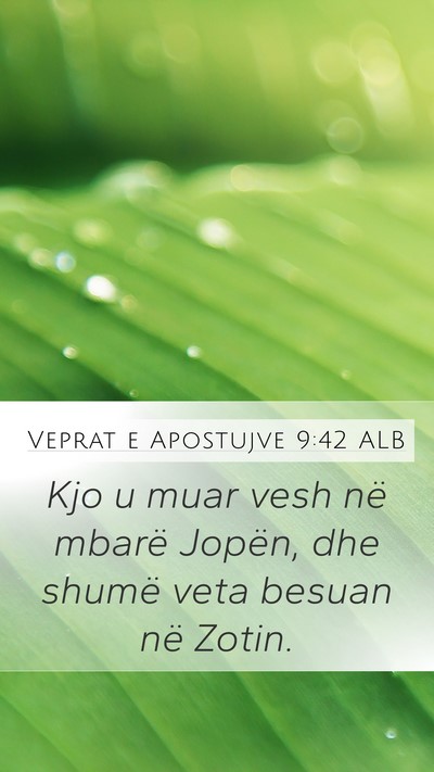 Veprat e Apostujve 9:42 ALB Mobile Phone Wallpaper - Kjo u muar vesh në mbarë Jopën, dhe shumë - Mobile Bible Verse Wallpaper