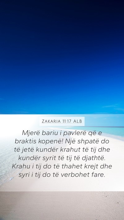 Zakaria 11:17 ALB Bible Verse Image