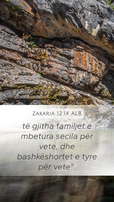 Zakaria 12:14 ALB Mobile Phone Wallpaper - të gjitha familjet e mbetura secila për vete, - Mobile Bible Verse Wallpaper