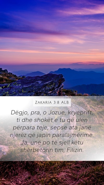 Zakaria 3:8 ALB Bible Verse Image