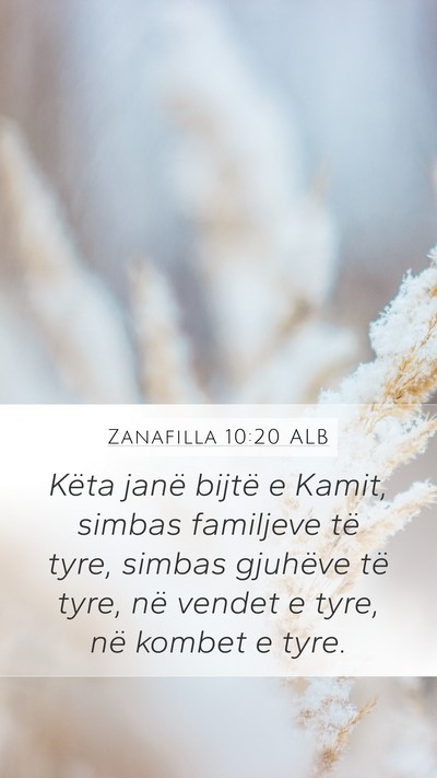 Zanafilla 10:20 ALB Bible Verse Image