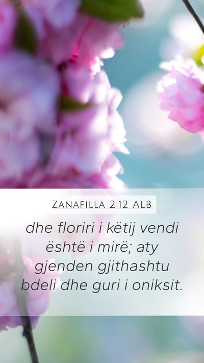 Zanafilla 2:12 ALB Bible Verse Image