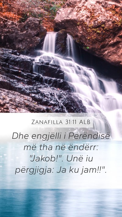 Zanafilla 31:11 ALB Bible Verse Image