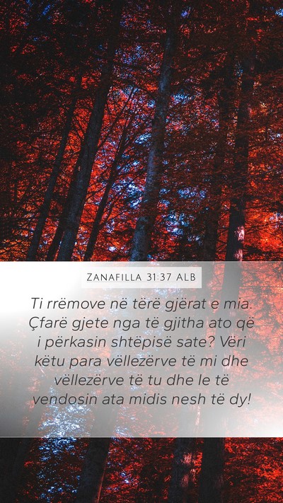 Zanafilla 31:37 ALB Bible Verse Image