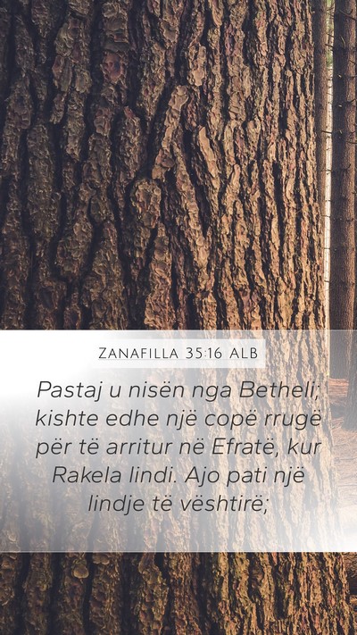 Zanafilla 35:16 ALB Bible Verse Image