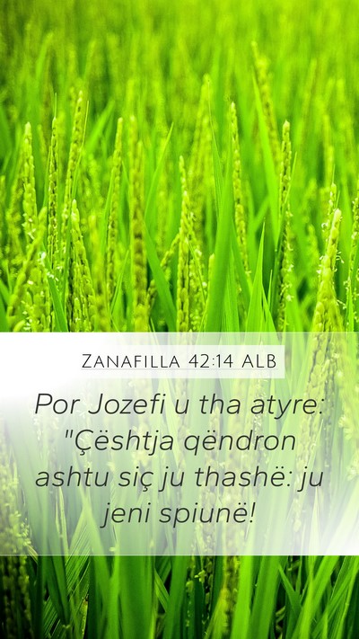 Zanafilla 42:14 ALB Mobile Phone Wallpaper - Por Jozefi u tha atyre: 