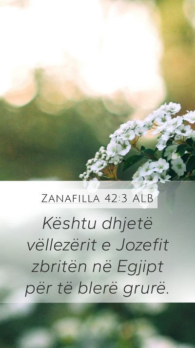 Zanafilla 42:3 ALB Mobile Phone Wallpaper - Kështu dhjetë vëllezërit e Jozefit zbritën - Mobile Bible Verse Wallpaper