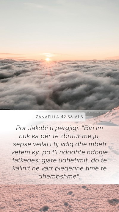 Zanafilla 42:38 ALB Bible Verse Image