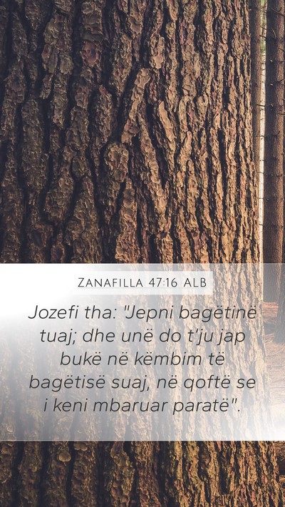 Zanafilla 47:16 ALB Mobile Phone Wallpaper - Jozefi tha: 