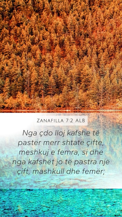 Zanafilla 7:2 ALB Bible Verse Image