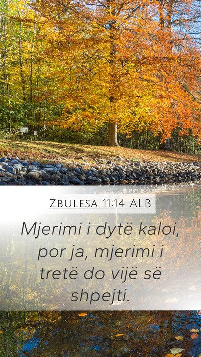 Zbulesa 11:14 ALB Bible Verse Image