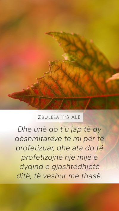 Zbulesa 11:3 ALB Bible Verse Image