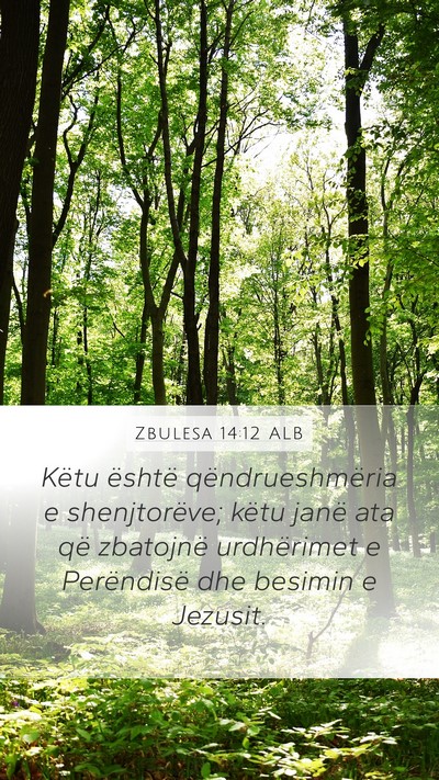 Zbulesa 14:12 ALB Bible Verse Image