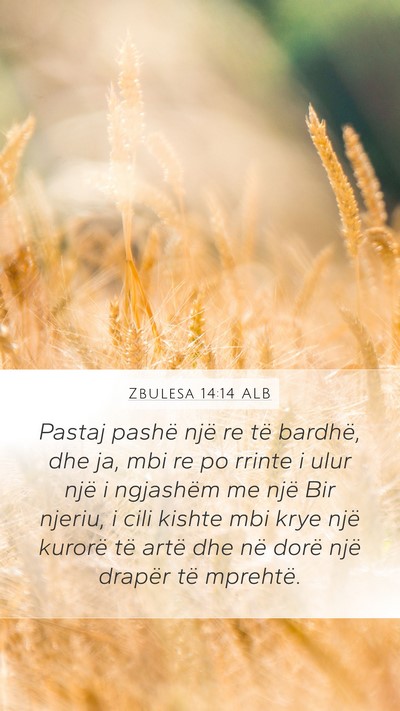 Zbulesa 14:14 ALB Bible Verse Image