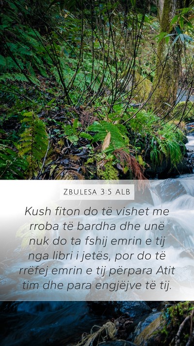 Zbulesa 3:5 ALB Bible Verse Image